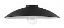 Minka-Lavery 7984-18-66 - RLM Series - 18" Shade