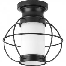 Progress P550016-031 - Haddon Collection One-light flush mount