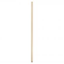 Cyan Designs 11972 - "48"" Downrod | Aged Brass"