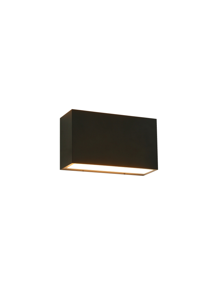 Dexter Wall Sconce