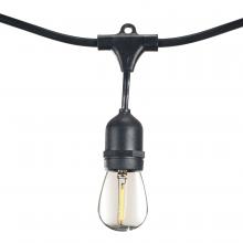 Bulbrite 812143 - 812143 14' STRING LIGHT 10 SOCKETS 16" SPACING E26 BLACK KIT -  W/1W PLASTIC LED S14 CLEAR L