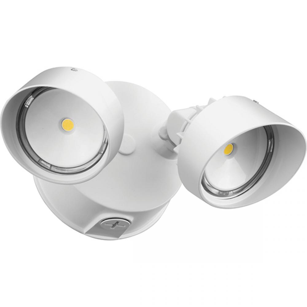 LED SECURITY FLOODLIGHT