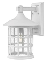 Hinkley 1865TW - Medium Wall Mount Lantern